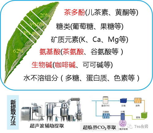 基于食品工業(yè)的茶業(yè)機(jī)會(huì)
