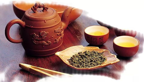 一餅茶葉竟比黃金還要貴 陳村茶博會曝光