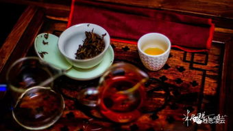 凌云白毫 亮相 上海國際茶業博覽會