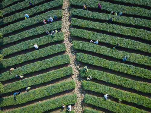 沿著高速看中國 走進(jìn)高速網(wǎng)紅服務(wù)區(qū)