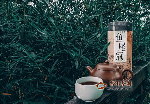 翠竹隨風(fēng)樂，尾魚逐水流——巔茶茶業(yè)的文化與自然之美
