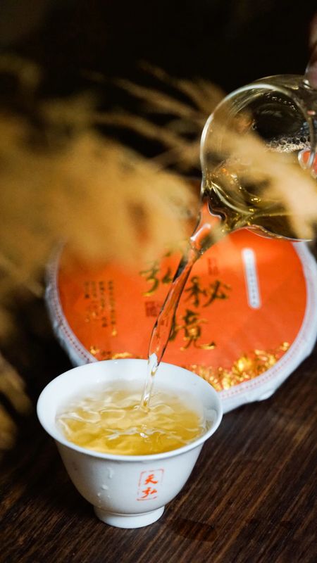 天弘茶業(yè)基地高端古樹茶隆重上市