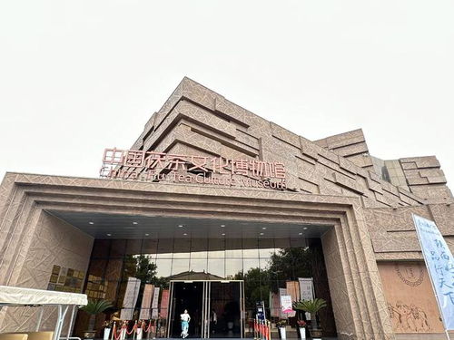 茯茶鎮(zhèn) 以茶為媒，帶活百億產(chǎn)業(yè)，鑄就中國(guó)茯茶之都